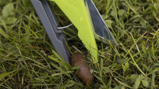 Illustration for article titled A Guillotine On a Stick That Lets You Play Caesar With Slugs